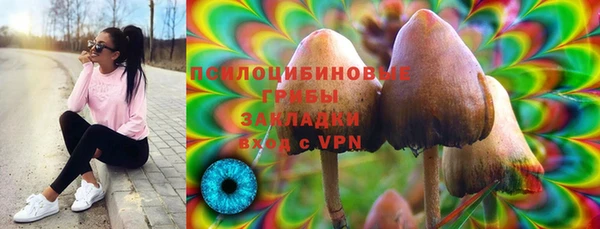 индика Алексеевка