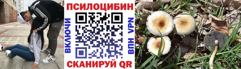 Галлюциногенные грибы мухоморы  Алзамай 